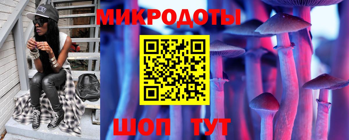 Псилоцибиновые грибы Psilocybe Курчатов