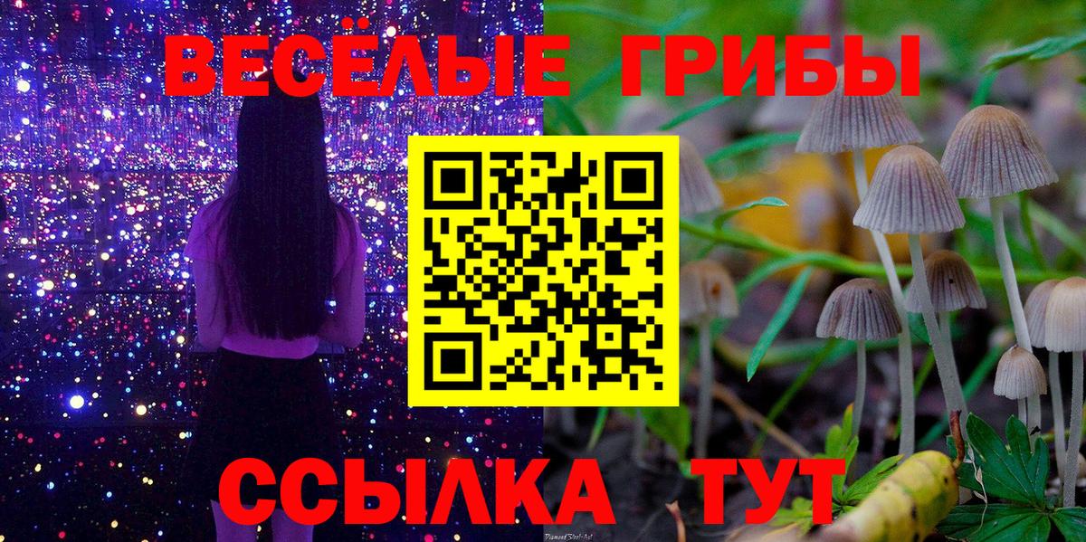 Псилоцибиновые грибы прущие грибы  Вход с VPN  Курчатов 