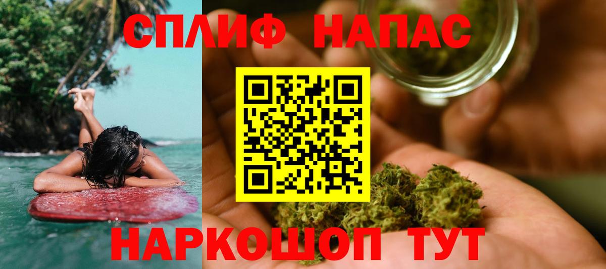 Каннабис индика Курчатов